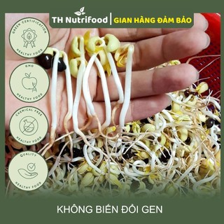 [Siêu rẻ] 1KG Đỗ đen làm giá hạt nhỏ tỉ lệ nảy mầm 99,99%