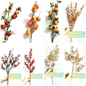 CÀNH LỰU/CÀNH HỒNG/CÀNH TÁO ĐỒNG/CÀNH TIM