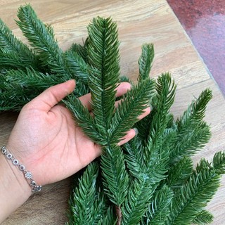 Dây thông PE mềm loại 1 cành 3 nhánh 180cm trang trí Giáng Sinh Noel mẫu mới 2025