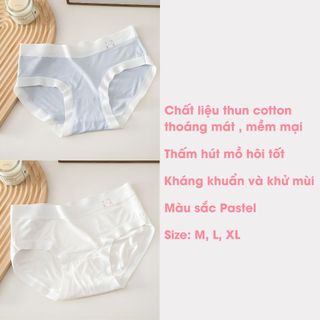 Combo 5 Quần Lót Nữ Viền Su Lụa Mềm Mại, Set 5 Quần Chip Nữ Đáy May Kháng Khuẩn AMYBRA L1164