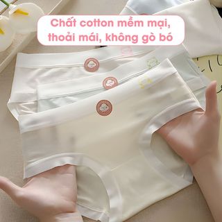 Combo 5 Quần Lót Nữ Viền Su Lụa Mềm Mại, Set 5 Quần Chip Nữ Đáy May Kháng Khuẩn AMYBRA L1164