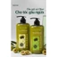 Cặp dầu Gội & Xả Hachi Olive - Sạch Gàu Hết Ngứa