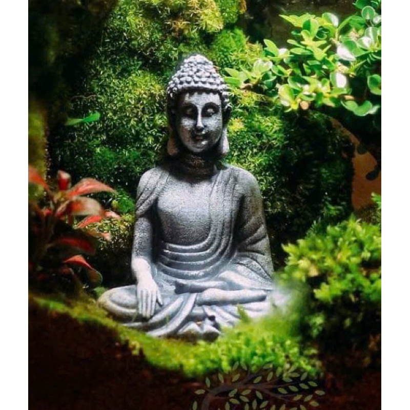 Phật thiền 10cm decor terrarium,tiểu cảnh