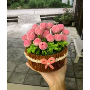 Chậu tulip kẽm nhung size lớn siêu xinh