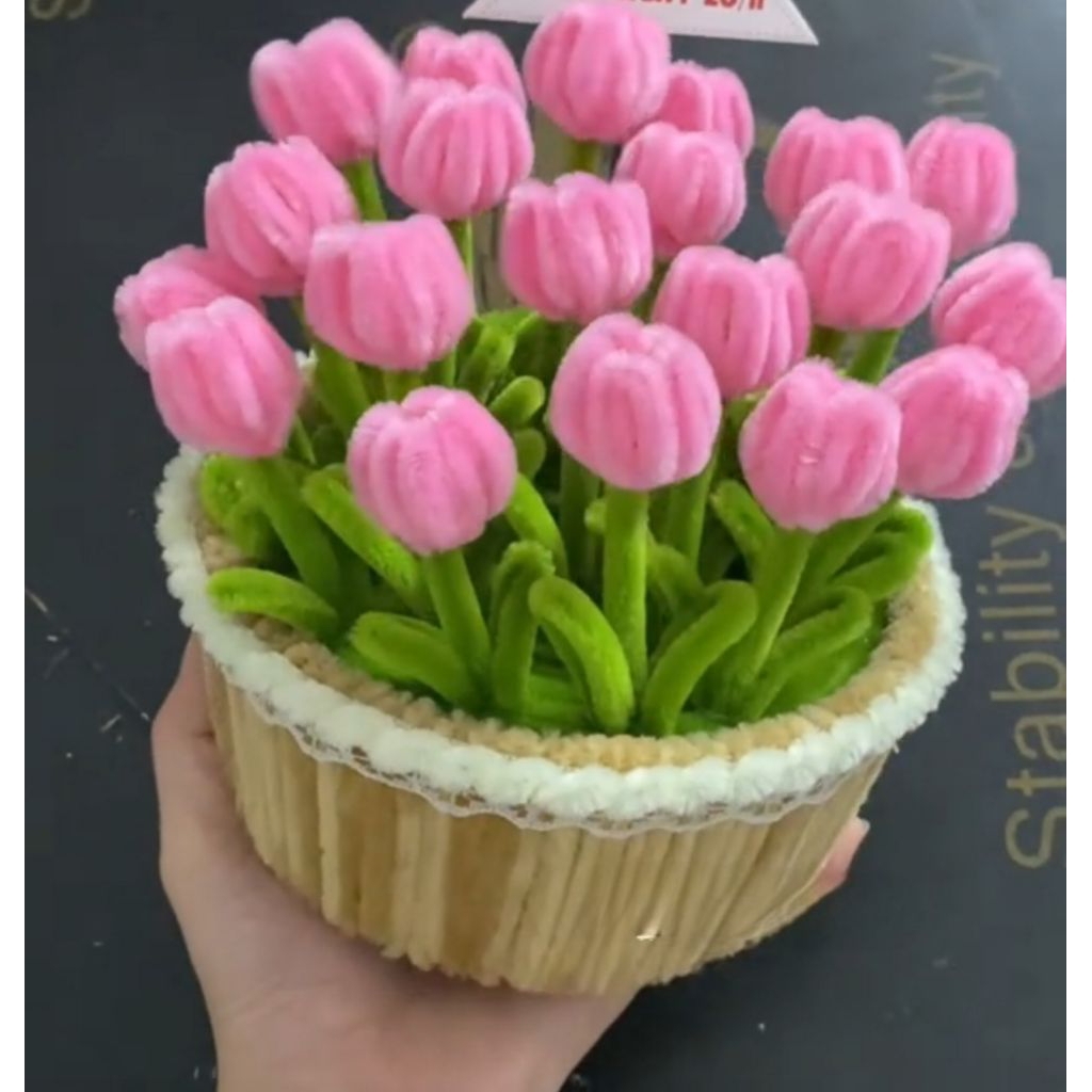 Chậu tulip kẽm nhung size lớn siêu xinh