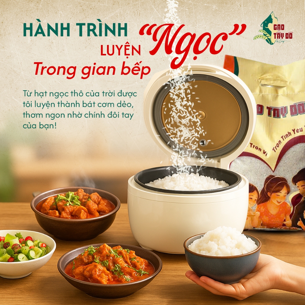 [ST5] Gạo ST25 Tây Đô Kim Cương 5kg - Cơm Mềm Dẻo, Ngọt Thơm Tự Nhiên, Tơi Xốp
