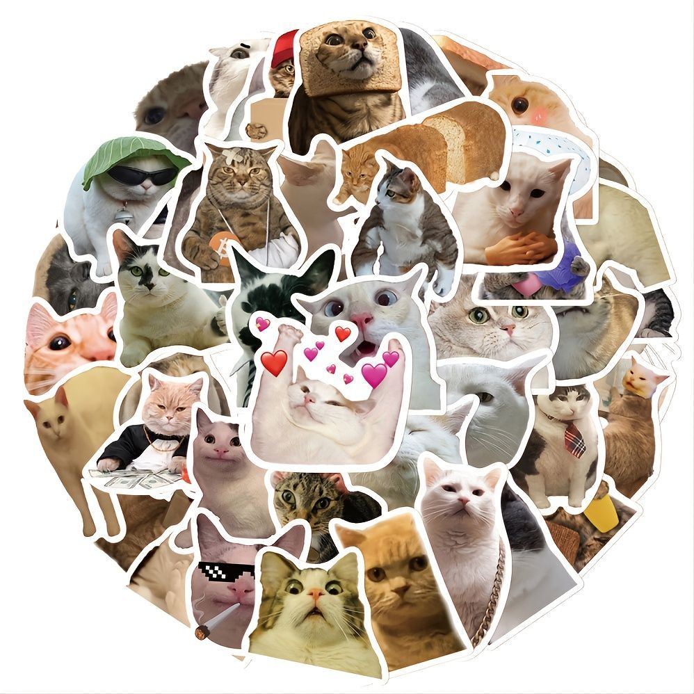 COMBO 50 STICKER MEME- NHẬN IN THEO YÊU CẦU | Shopee Việt Nam