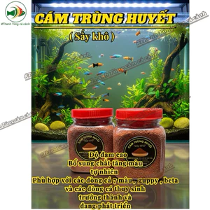 CÁM TRÙNG HUYẾT - CÁM ARTIMEA SẤY KHÔ - CÁM TRỘN T5 THỨC ĂN TOP 1 CHO CÁ CẢNH, CÁ GUPPY