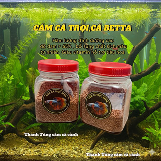 CÁM CÁ TRỌI - BETA hàm lượng dinh dưỡng cao giúp cá tăng size lên màu đẹp