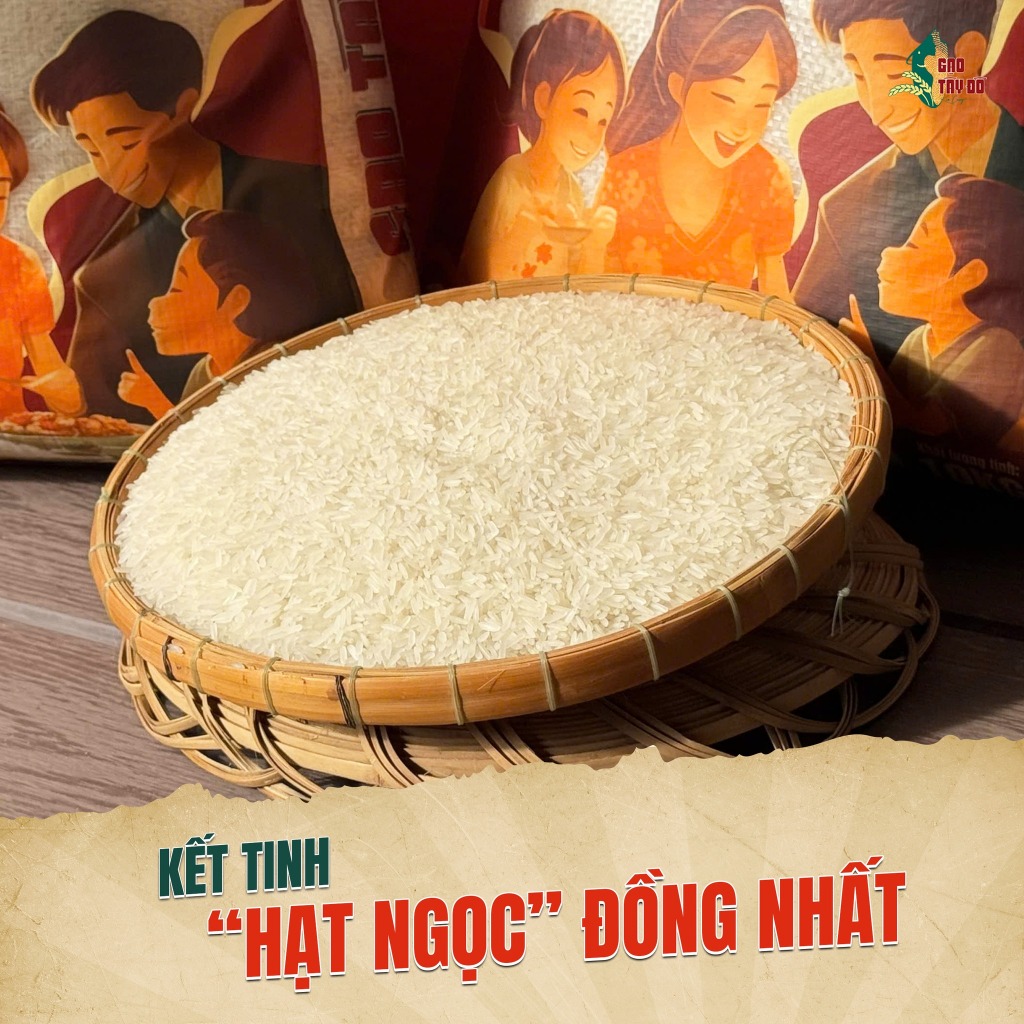 [ST10] Gạo ST25 Tây Đô Kim Cương 10kg - Thơm Dẻo, Mềm Ngọt, Tơi Cơm