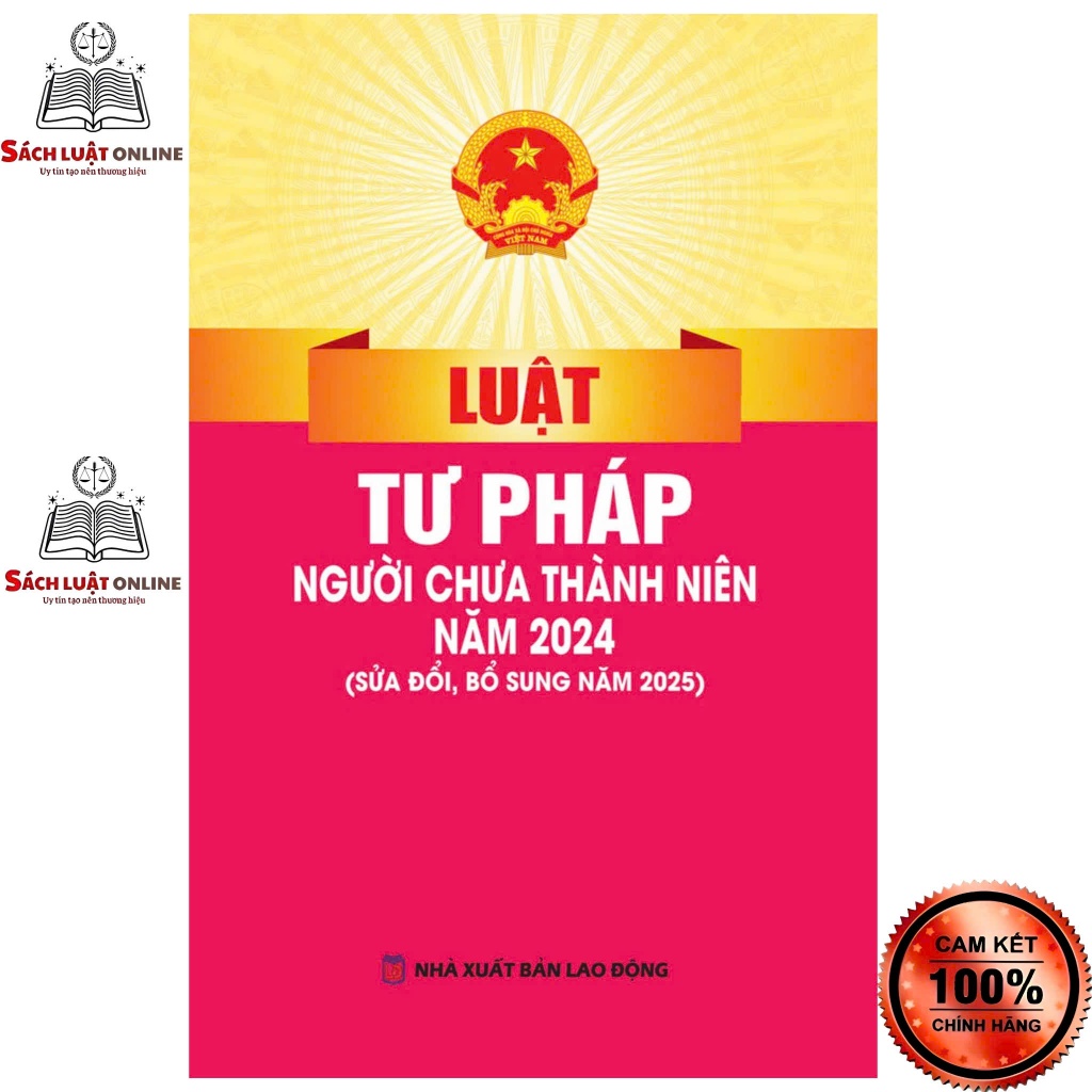 Sách - Luật tư pháp người chưa thành niên (NXB Lao động)