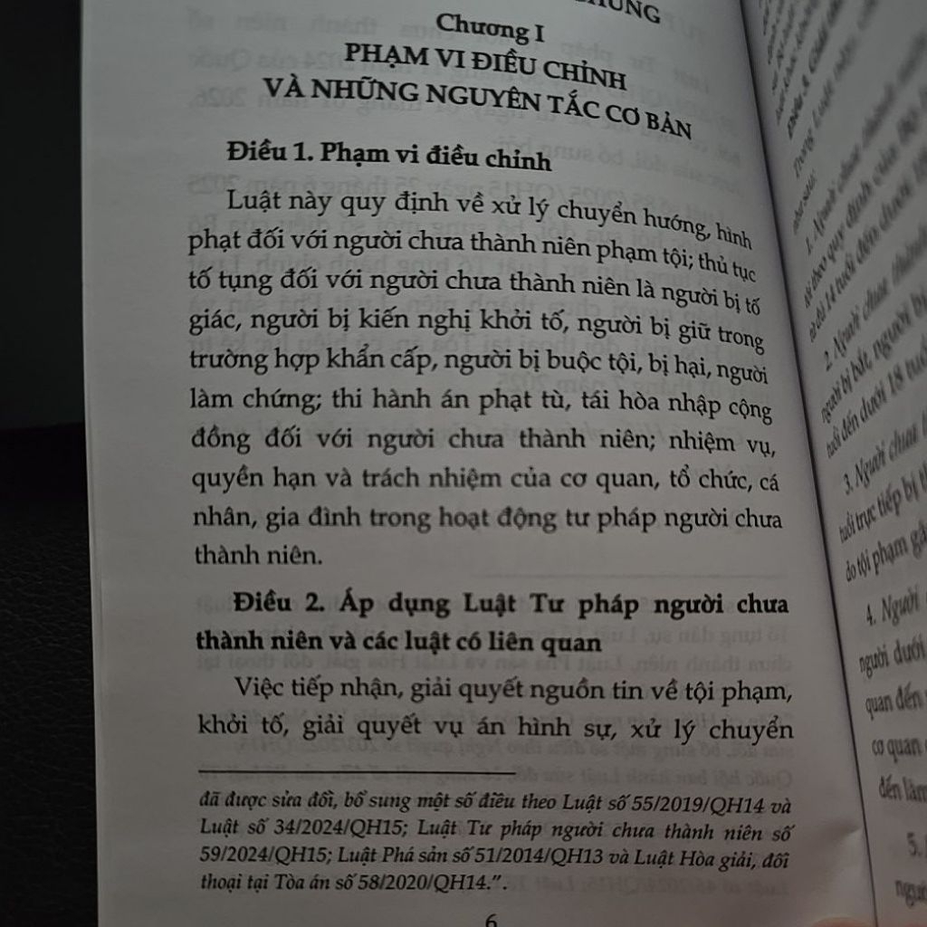 Sách - Luật tư pháp người chưa thành niên (NXB Lao động)