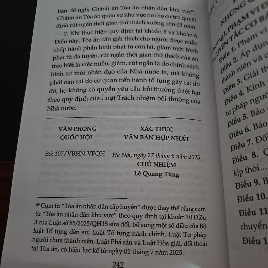 Sách - Luật tư pháp người chưa thành niên (NXB Lao động)