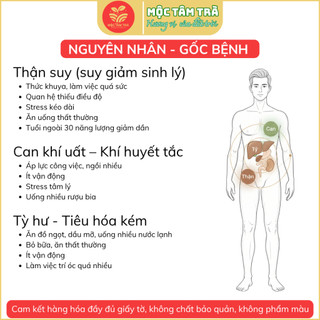 Trà thảo mộc dành cho nam giới