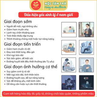 Trà thảo mộc dành cho nam giới