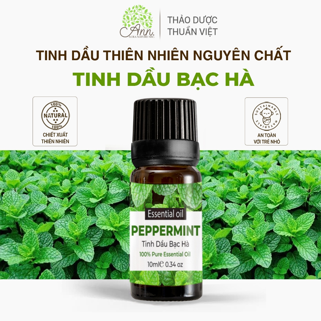 Tinh Dầu Bạc Hà Nguyên Chất - Hình ảnh thực tế