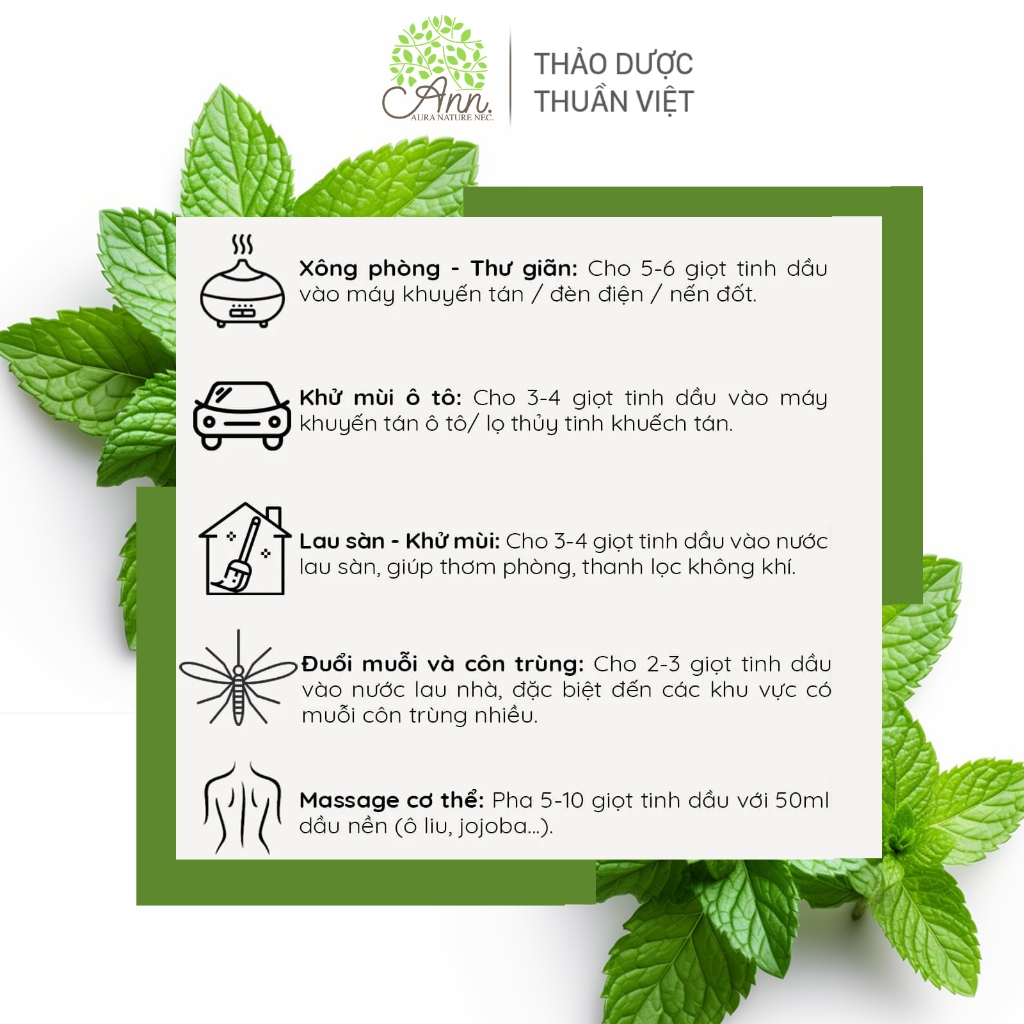 Lọ Tinh Dầu Tiêu Chuẩn - tinh dầu bạc hà nguyên chất