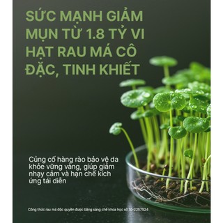 Kem Chấm Mụn Làm Dịu, Phục Hồi Và Giảm Thâm Elravie HyCicaMue Spot Cream 20ml