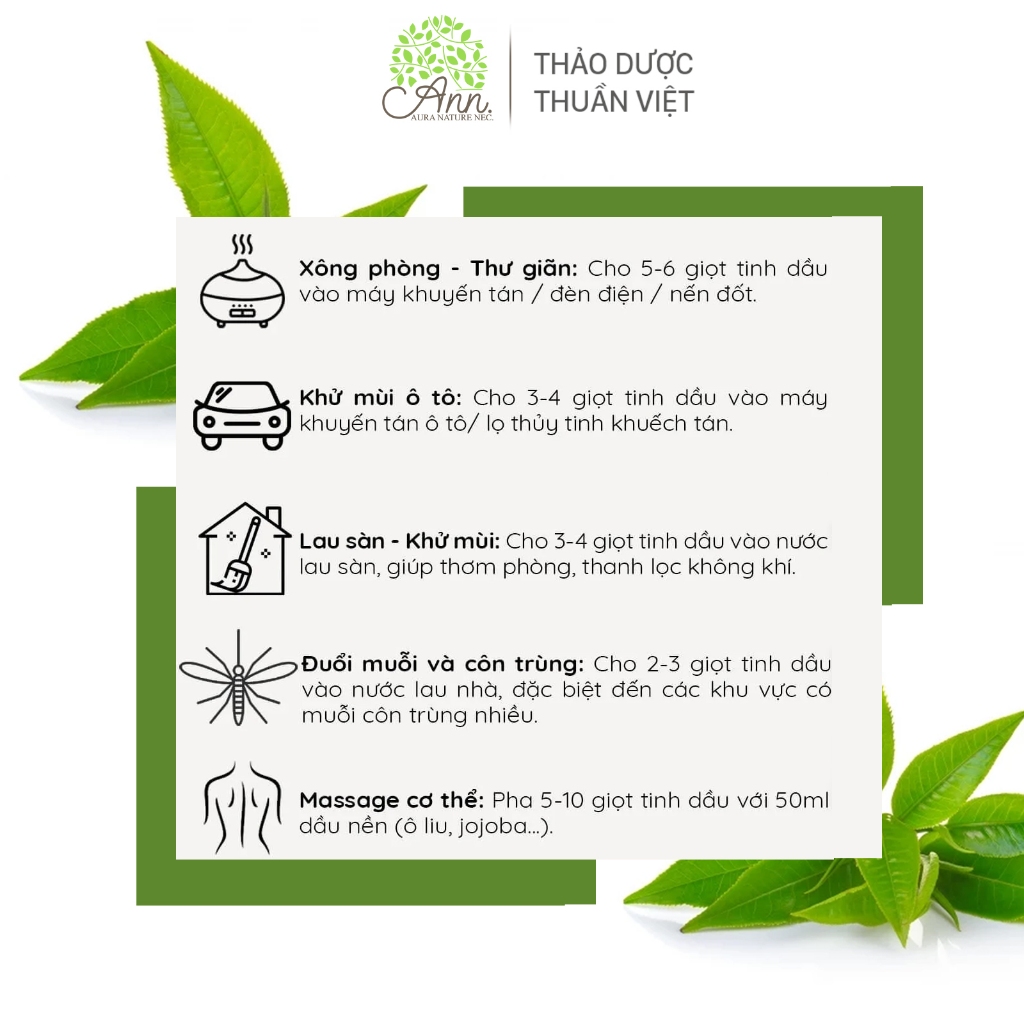 Lọ Tinh Dầu Tiêu Chuẩn - tinh dầu trà xanh nguyên chất