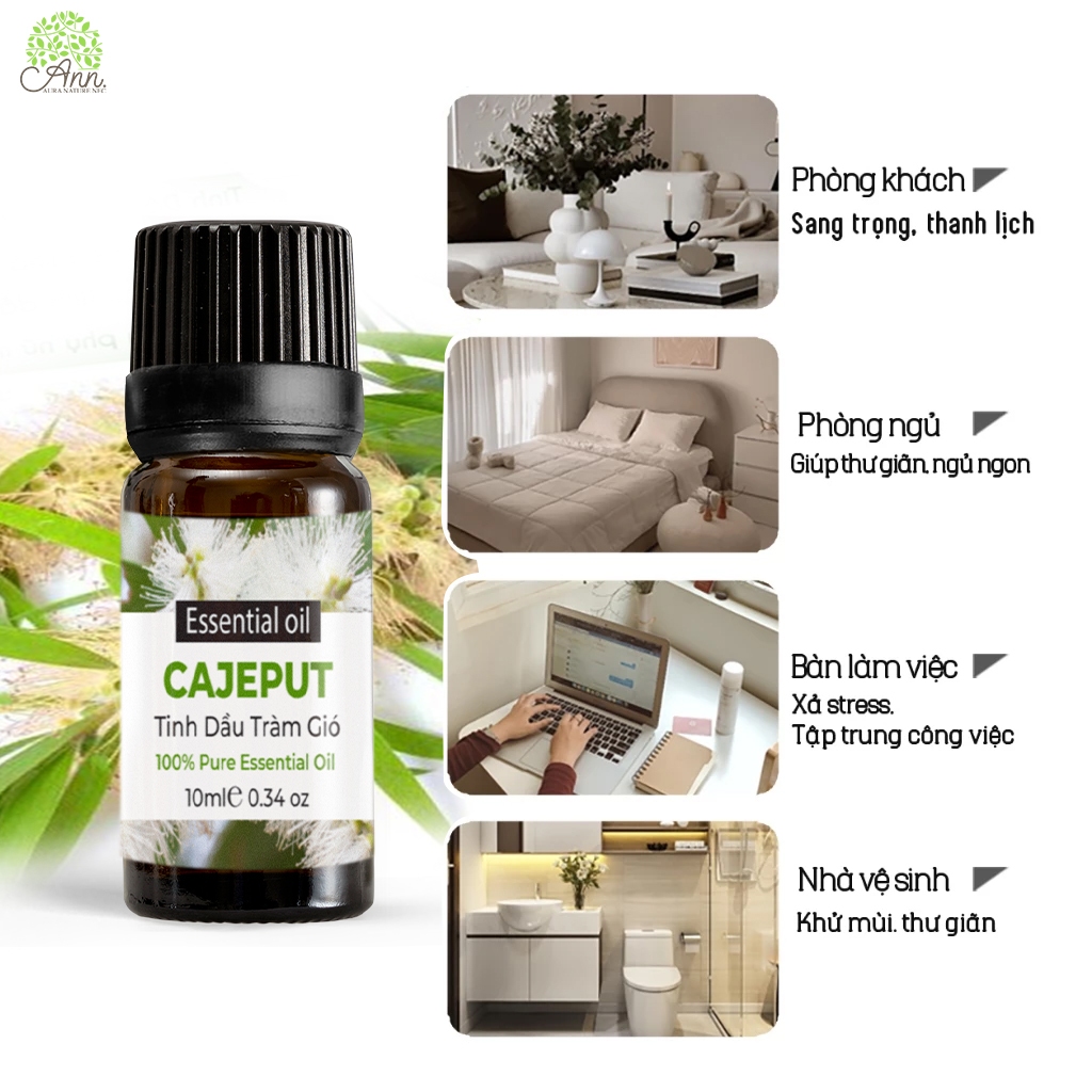 Lọ Tinh Dầu Tiêu Chuẩn - tinh dầu tràm gió nguyên chất