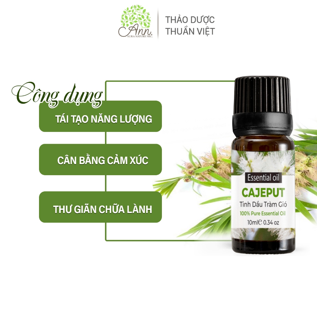 Chất lượng Lọ Tinh Dầu Cao Cấp
