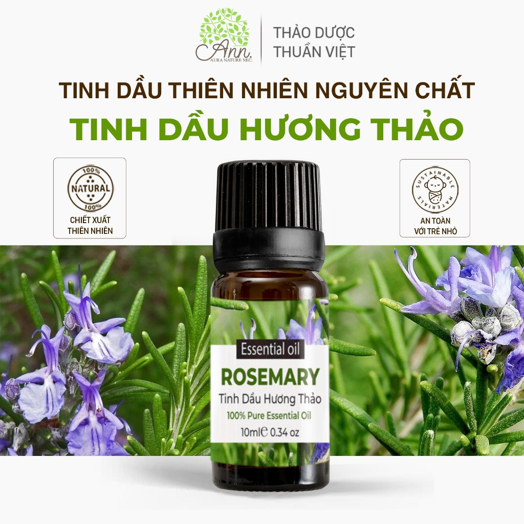 Tinh Dầu Hương Thảo Nguyên Chất - Hình ảnh thực tế