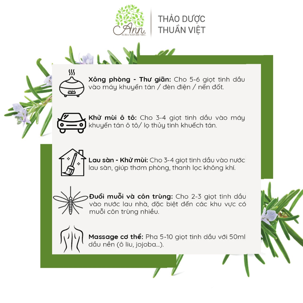 Lọ Tinh Dầu Tiêu Chuẩn - tinh dầu hương thảo nguyên chất