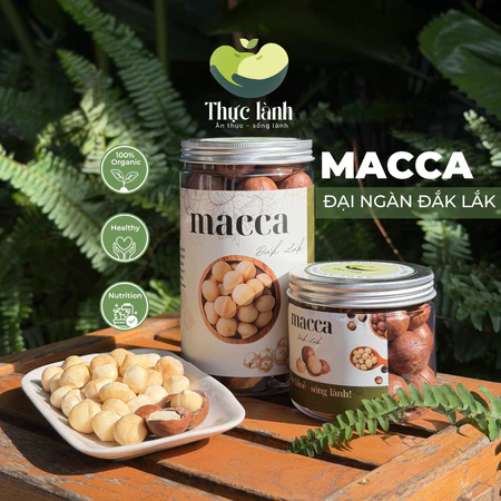 Hạt MACCA sấy tách vỏ (Size Lớn), Macca Đắk Lắk sấy chín, hạt dinh dưỡng -Thực Lành