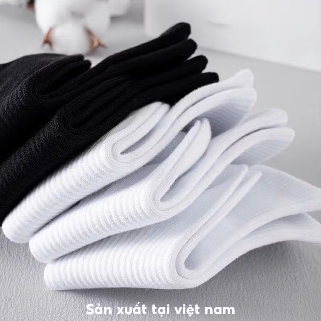 Set 5 Đôi Tất Vớ Nam Nữ Cổ Cao Cổ trung lửng ngắn chất liệu cotton