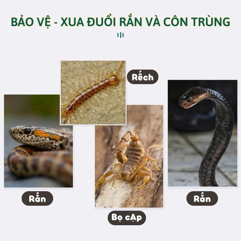 HẠT ĐUỔI RẮN CAO CẤP Hạt Xua Đuổi Rắn Nồng Độ Cao 500g - Thành Phần Khoáng Chất Tự Nhiên 100%, An Toàn Cho Gia Đình & Vậ