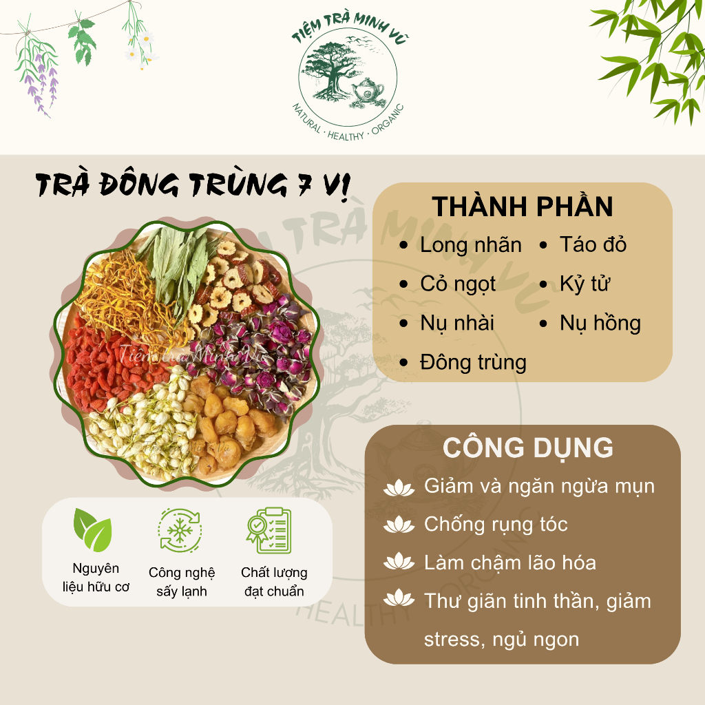 Trà Đông Trùng Hạ Thảo - Hình ảnh thực tế