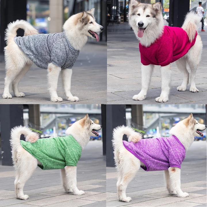 Áo chó to golden retriever, samurai, husky,... quần áo thu đông chó mèo, đồ dùng cho chó