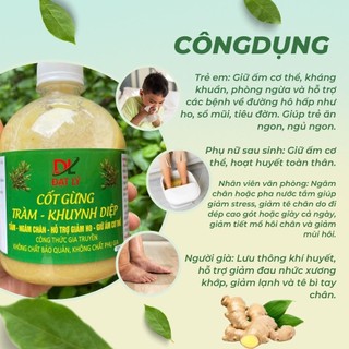 Cốt Gừng Tràm Khuynh Diệp Đạt Lý Tắm Bé, Ngâm Chân Chai 500ml