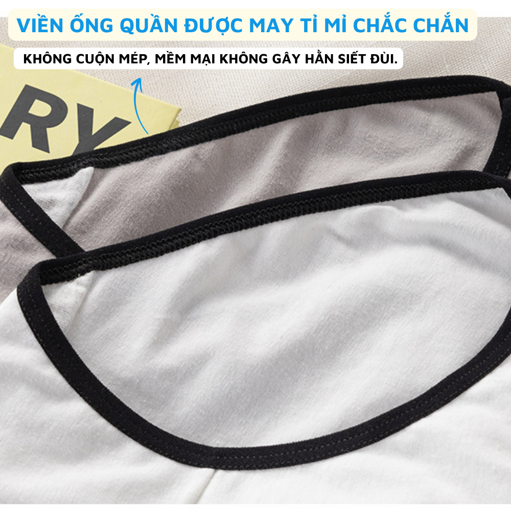 [ Xả Hàng ] Quần lót nữ cotton co dãn cạp vừa - Quần chip nữ đáy may kháng khuẩn ZANABRA L8822