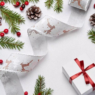 Ruy băng gói quà Dây lụa nhiều màu sắc thắt nơ trang trí quà Giáng sinh Noel buộc hộp bánh kẹp rộng bản đồ decor