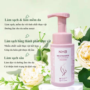 NƯỚC RỬA PHỤ KHOA THẢO DƯỢC】Dung Dịch Vệ Sinh Phụ Nữ Dạng Bọt Odor Fresh - Làm Sạch Nhẹ Dịu, Cân Bằng Độ Ẩm & pH, Ngăn N