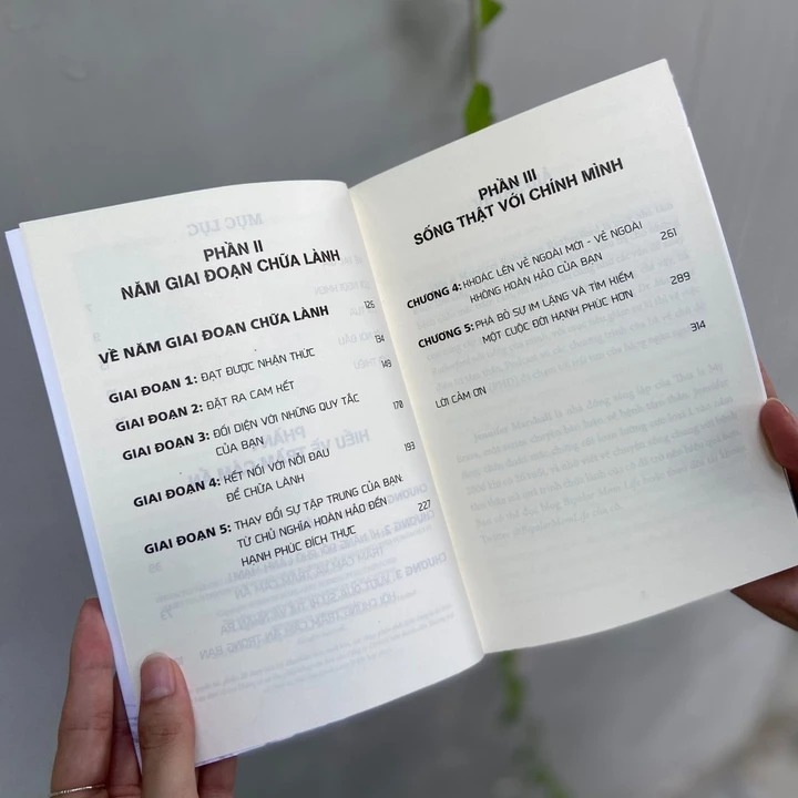 Sách: Trầm Cảm Ẩn - Cách Thoát Khỏi Chủ Nghĩa Hoàn Hảo – 3