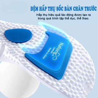 Lót Giày Tăng Chiều Cao 2.5cm | Đế Độn Giày Êm Chân Chống Sốc Khử Mùi Thoáng Khí Cắt Size Nam Nữ
