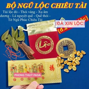 BỘ NGŨ LỘC 6 Món Chiêu Tài Phong Thủy, Túi Lộc, Thỏi Vàng, Xu Âm Dương, Lá + Vỏ Nguyệt Quế,Tờ Ngũ Phúc