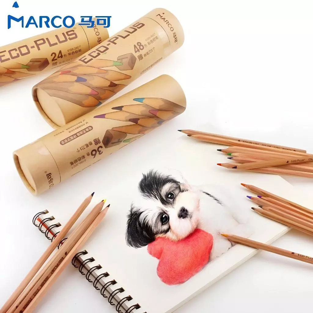 Bút Chì Màu Marco Gốc Dầu Eco-Plus 24/36/48/72 Màu Cao Cấp Dạng Cốc, Màu Nâu Gỗ, Kèm Gọt – Tô Màu, V