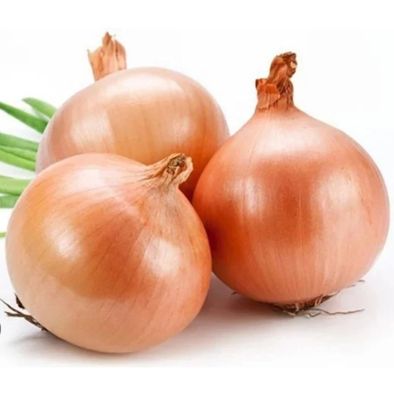 Combo củ hành tây trắng chọn lọc loại to.
