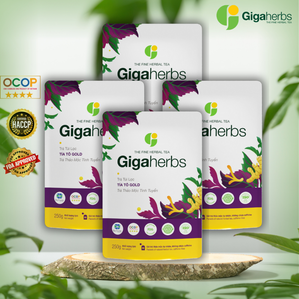[ Combo 1kg Trà ] Trà túi lọc Tía Tô Gold GigaHerbs - hỗ trợ gút, làm đẹp da (240 túi lọc)
