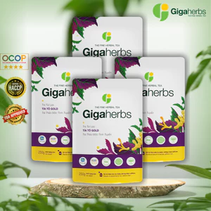 Trà túi lọc Tía Tô Gold GigaHerbs - hỗ trợ gút, làm đẹp da (240 túi lọc)
