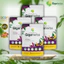 Trà túi lọc Tía Tô Gold GigaHerbs - hỗ trợ gút, làm đẹp da (240 túi lọc)