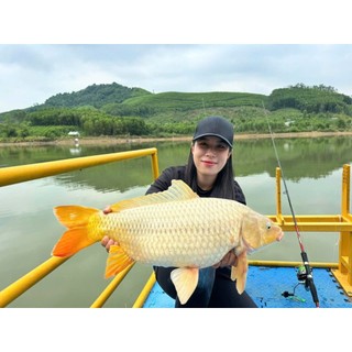 [LK HÒA] MỒI CÁM CHÉP RẺ LK, MỒI CHUYÊN CHÉP RẺ LK