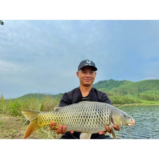 [LK HÒA] MỒI CÁM CHÉP RẺ LK, MỒI CHUYÊN CHÉP RẺ LK