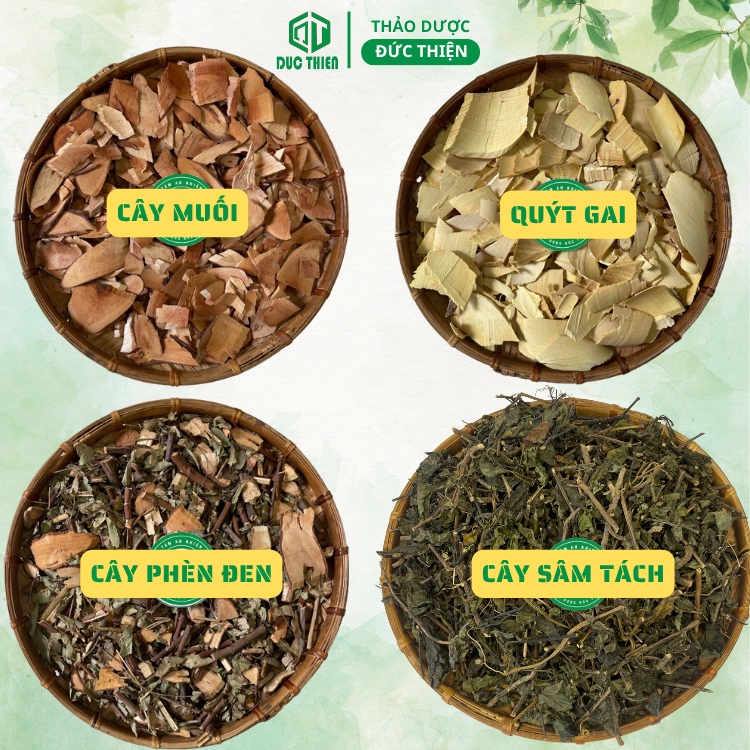 4 Vị Thảo Dược Hỗ Trợ Các Vấn Đề Về Than - Cây Muối, Quýt Gai, Phèn Đen, Cây Nổ(Sâm Tách) - 500g/Vị.