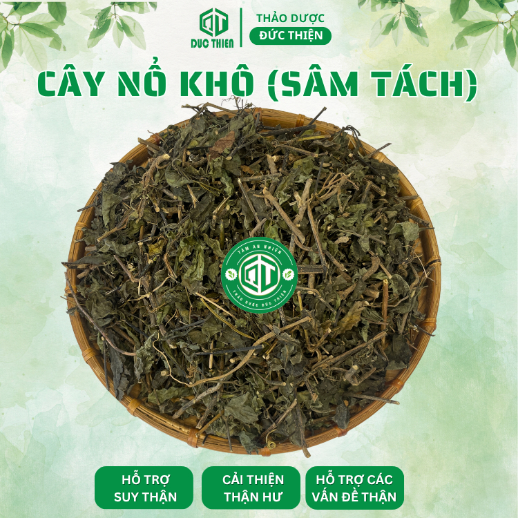 4 Vị Thảo Dược Hỗ Trợ Các Vấn Đề Về Than - Cây Muối, Quýt Gai, Phèn Đen, Cây Nổ(Sâm Tách) - 500g/Vị.
