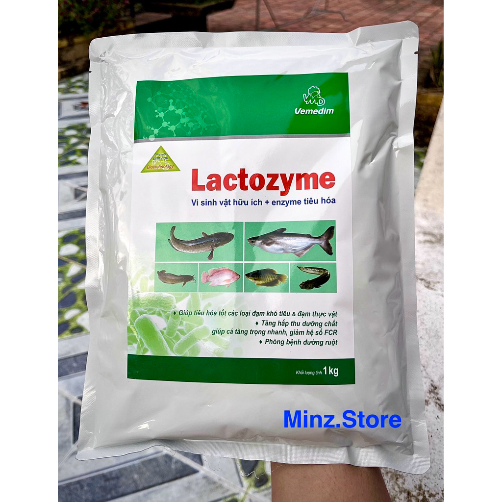 Vemedim Lactozyme cá, hỗn hợp chứa vi sinh vật hữu ích và Enzyme tiêu hóa cho cá, ếch, lươn, baba... Gói (1Kg)