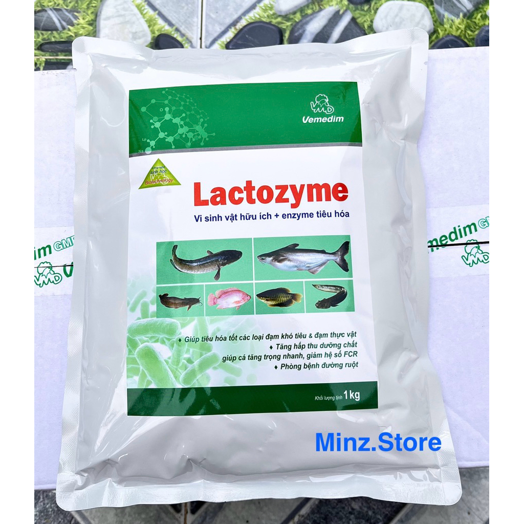 Vemedim Lactozyme cá, hỗn hợp chứa vi sinh vật hữu ích và Enzyme tiêu hóa cho cá, ếch, lươn, baba... Gói (1Kg)